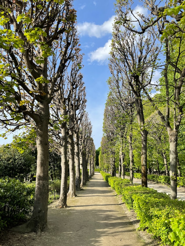 Photo of an path of the park of the Rodin Museum to illustrate the Rodin Museum private guided tour