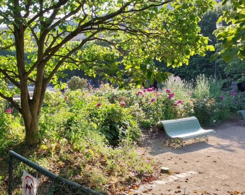 Bench and flower bed - early summer Palais Royal Garden.