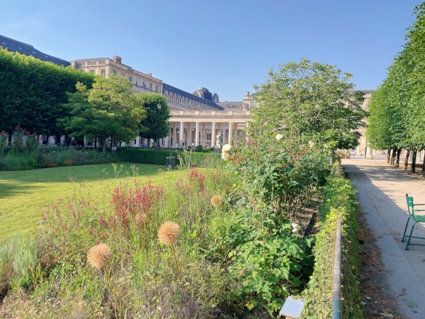 Palais Royal Garden, Lawn with flower bed and rose bush trees.
