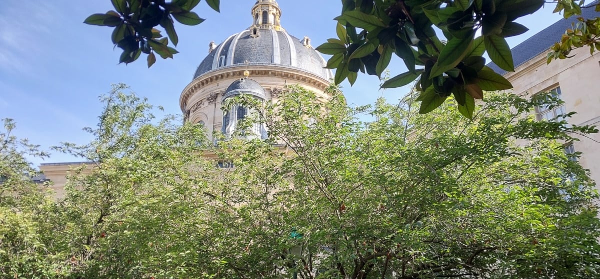 Square Gabriel Pierné_Park - View of la coupole with branch trees in the foreground.