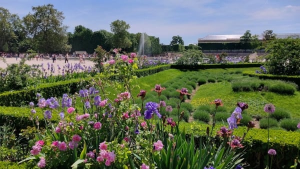 Tuileries Garden - Octagonal Basin area with Lavender and iris flower beds - May 10th 2024 - broaden-horizons.fr