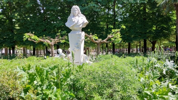 Tuileries Garden - Statue of Charles Perrault - Acanthus and Mulberry Trees in May.
