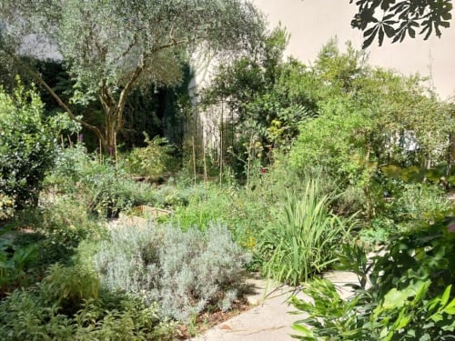 Clos des Blancs Manteaux Garden in the sun of August. Le Marais Paris France.