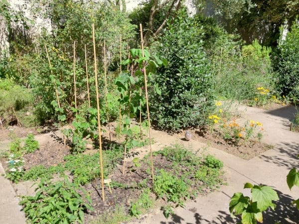 Clos des blancs-manteaux garden is organized like an enclosed garden (hortus conclusus) of the middle age.
