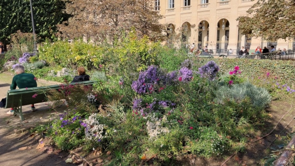 Palais Royal Garden - Sunny day in mid-October, view 2.