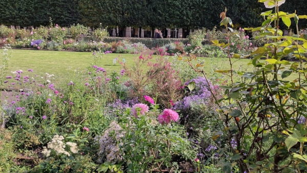Palais Royal Garden - Sunny day in mid-October, view 2.
