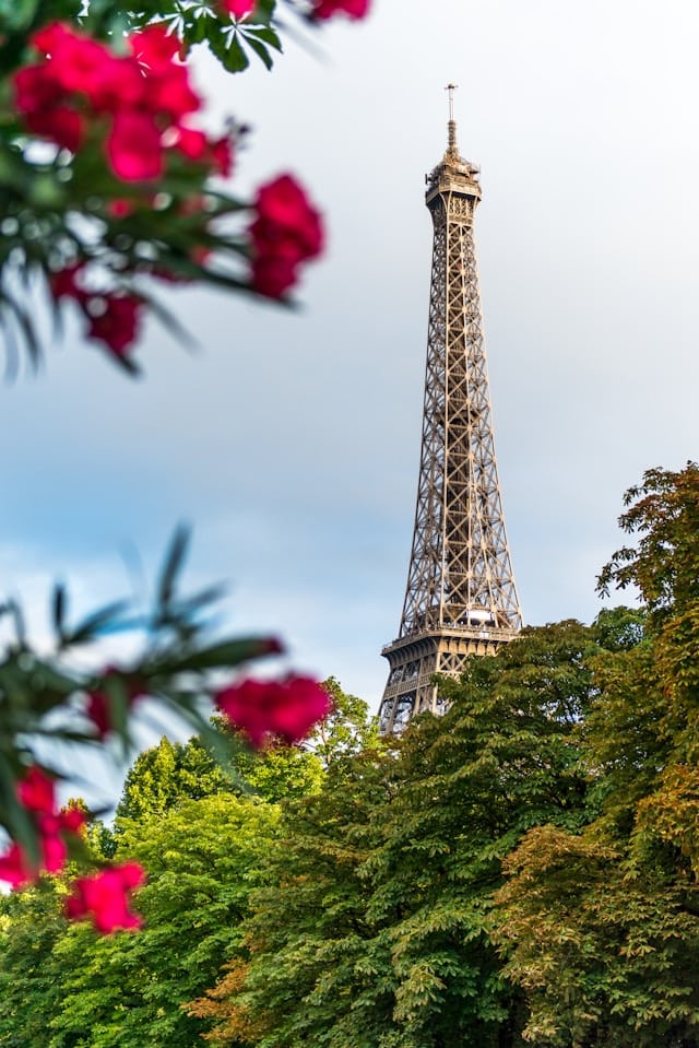 Cherry blossoms framing the Eiffel Tower on a sunny day