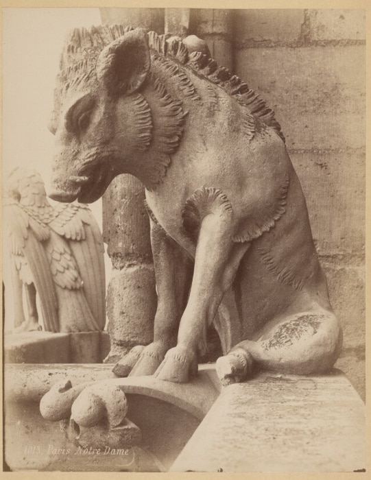 Wild Boar Chimera on the east face of the north tower of Notre Dame Cathedral.