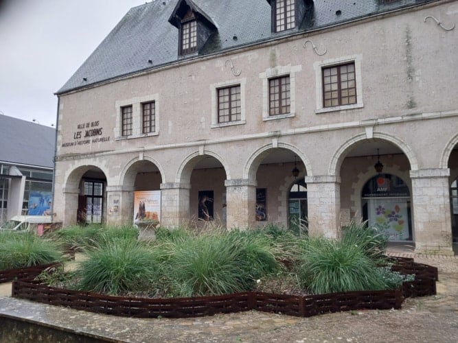 Diocesan Museum of Religious Arts and Natural History Museum in the former Jacobin Convent in Blois, Loire Valley, France.