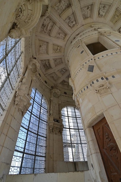 Detailed view of the coffered ceiling in the staircase showing salamander and F of François carvings.
