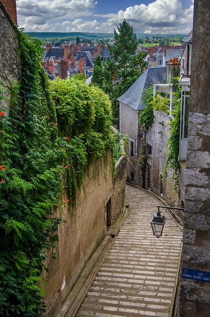 Famous old cobblestone street stairs of Blois in the Loire Valley, France.